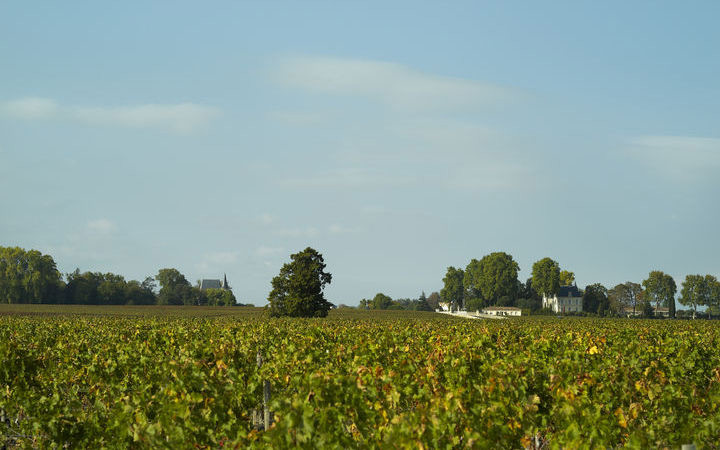 escale,Pauillac-France_720x450,FR,PAP,45510.jpg