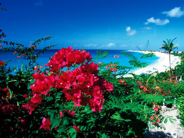 Croisière Caraïbes du Sud : Barbade, Ste Lucie, Grendade, St Kitts || Vols inclus 