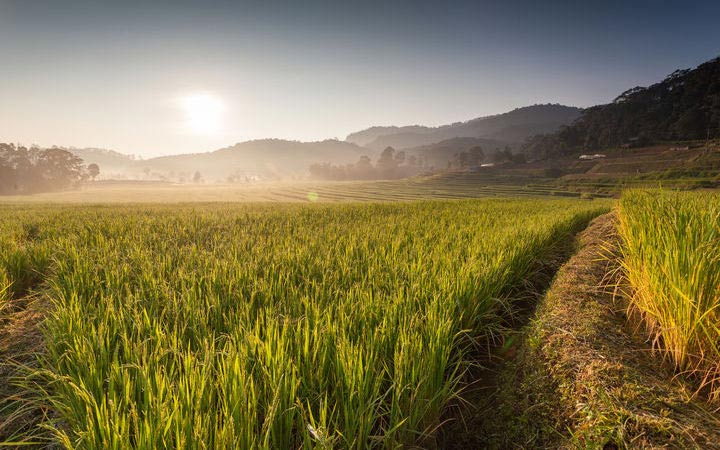 escale,Port Kelang-Malaisie_720x450,MY,PKG,45601.jpg