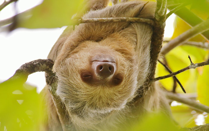 Puntarenas escale,Puntarenas-Costa Rica_720x450,CR,PAS,67163.jpg