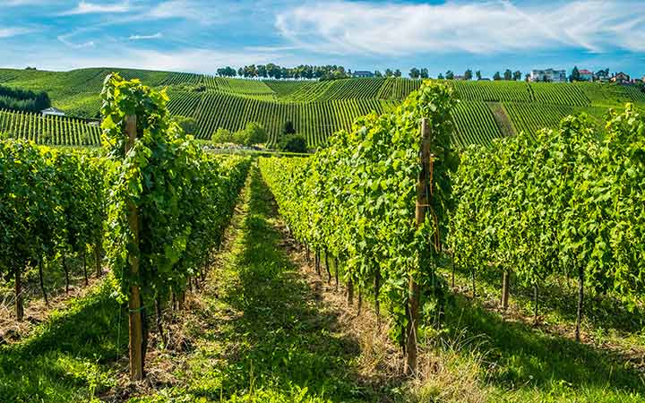 escale,Remich-Luxembourg_720x450,LU,REM,67917.jpg