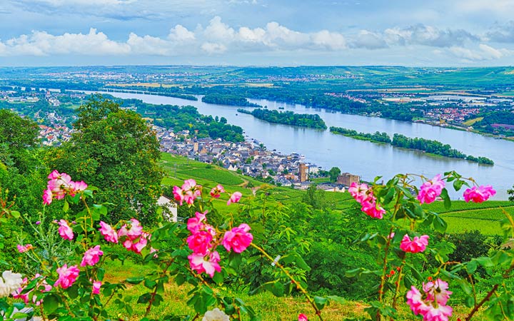 escale,Rudesheim -Allemagne_720x450,DE,RUE,545652.jpg