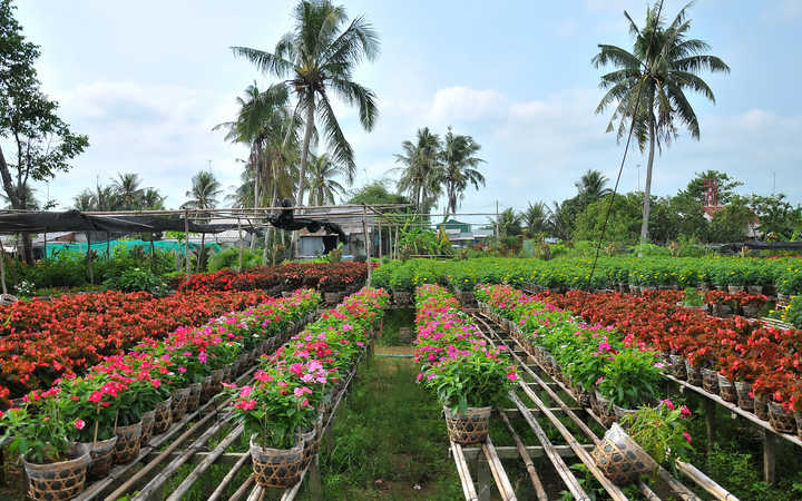 escale,Sa Dec-Vietnam_720x450,VN,SAD,46128.jpg