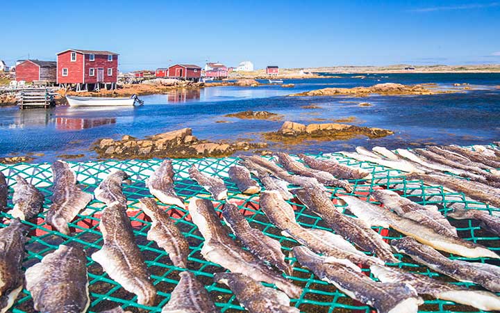 escale,Sao Filipe-Cap-vert_720x450,CV,SFL,74192.jpg