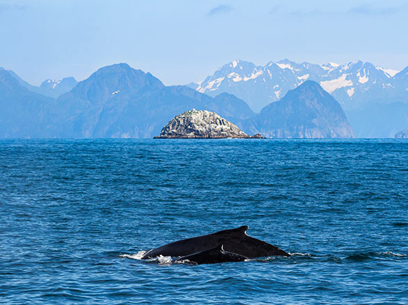 croisi&egrave;re Alaska : Hubbard Glacier, Juneau, Skagway, Icy Strait Point, Vancouver 