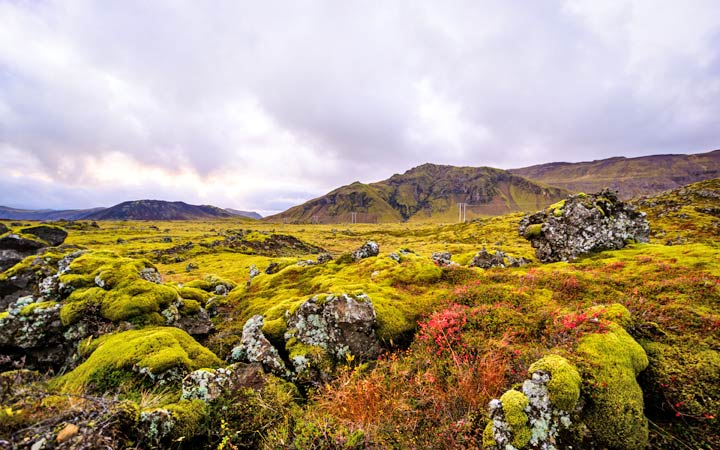 escale,Stykkisholmur-Islande_720x450,IS,STY,63662.jpg
