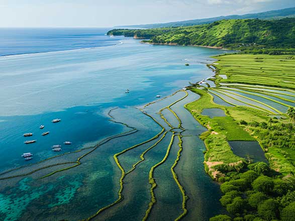 Croisière Sumbawa