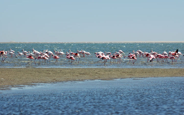escale,Walvis Bay-Namibie_720x450,NA,WVB,46834.jpg