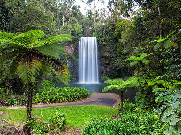 https://static.abcroisiere.com/images/fr/escales/escale,cairns-cairns_zoom,AU,CNS,35388.jpg
