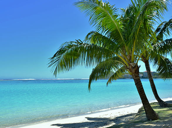 https://static.abcroisiere.com/images/fr/escales/escale,guam-guam_zoom,FM,XIG,537450.jpg