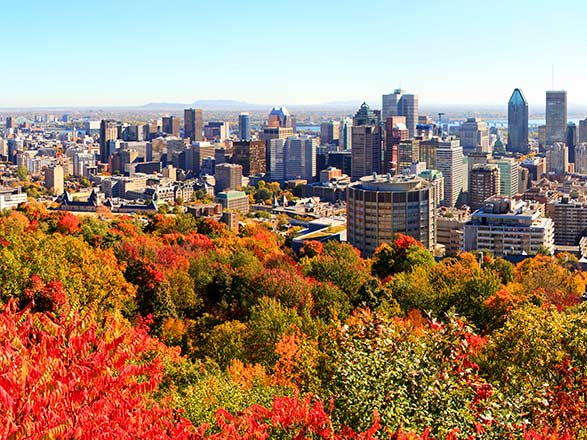 escale,montréal-montréal_zoom,CA,MTR,38675
