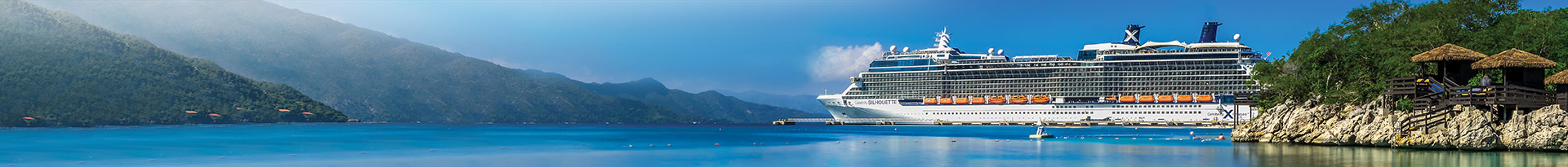 celebrity_silhouette.jpg