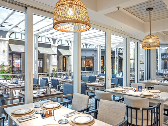 MSC World Europa