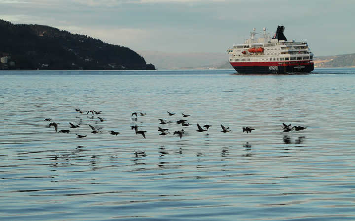 Nave MS Nordnorge