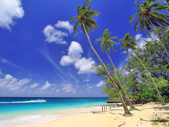 croisi&egrave;re Caraibi : Isole Grenadine 