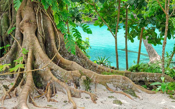 Port Vila scalo,Port Vila-Vanuatu_720x450,VU,VLI,67894.jpg