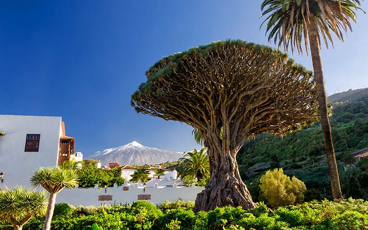 Crociera Santa Cruz de Tenerife