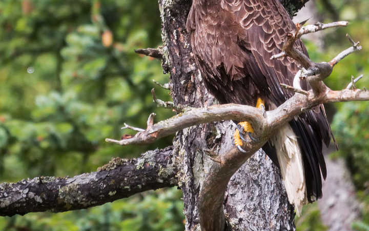 Skagway scalo,Skagway-Stati Uniti_720x450,US,SGY,46532.jpg