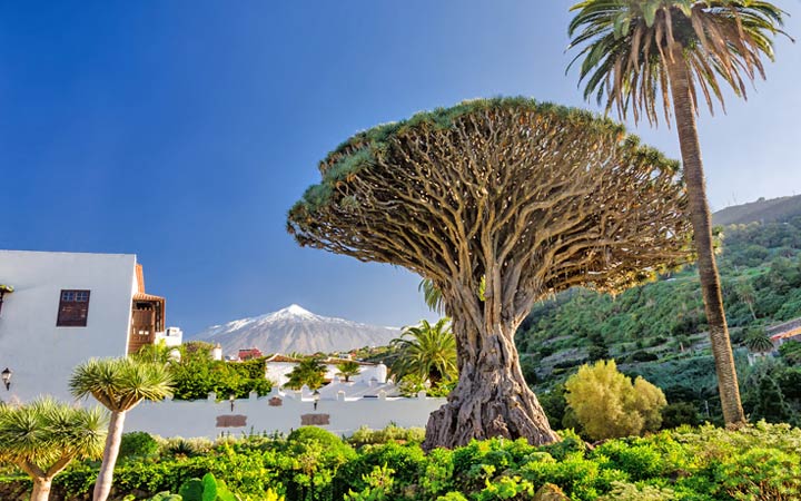Tenerife scalo,Tenerife-Spagna_720x450,ES,TCI,67500.jpg
