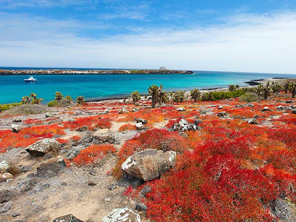 Isole Galapagos 