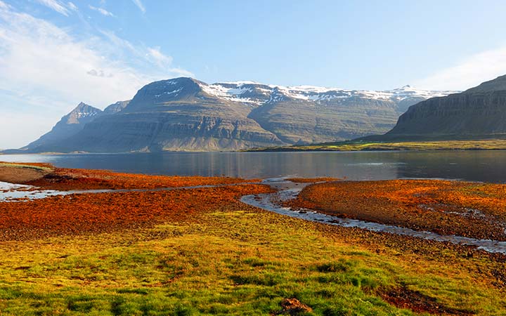 67750_720x450.jpg